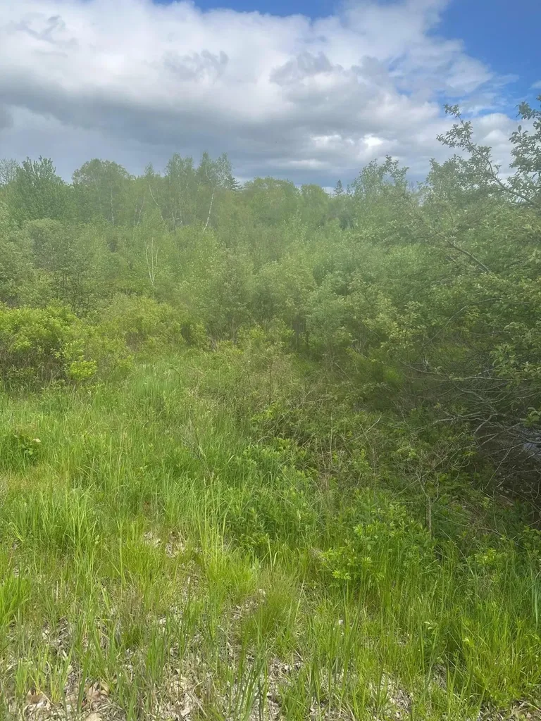 Lot 6 Unionville Road Steuben ME 04680