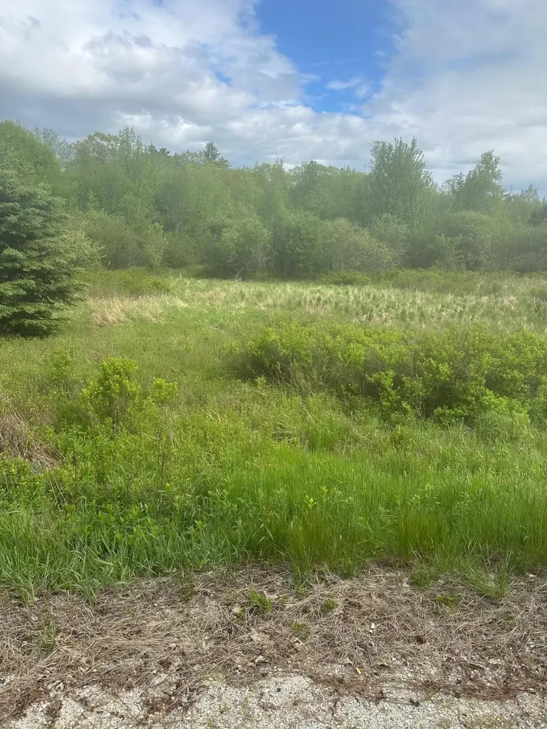 Lot 6 Unionville Road Steuben ME 04680