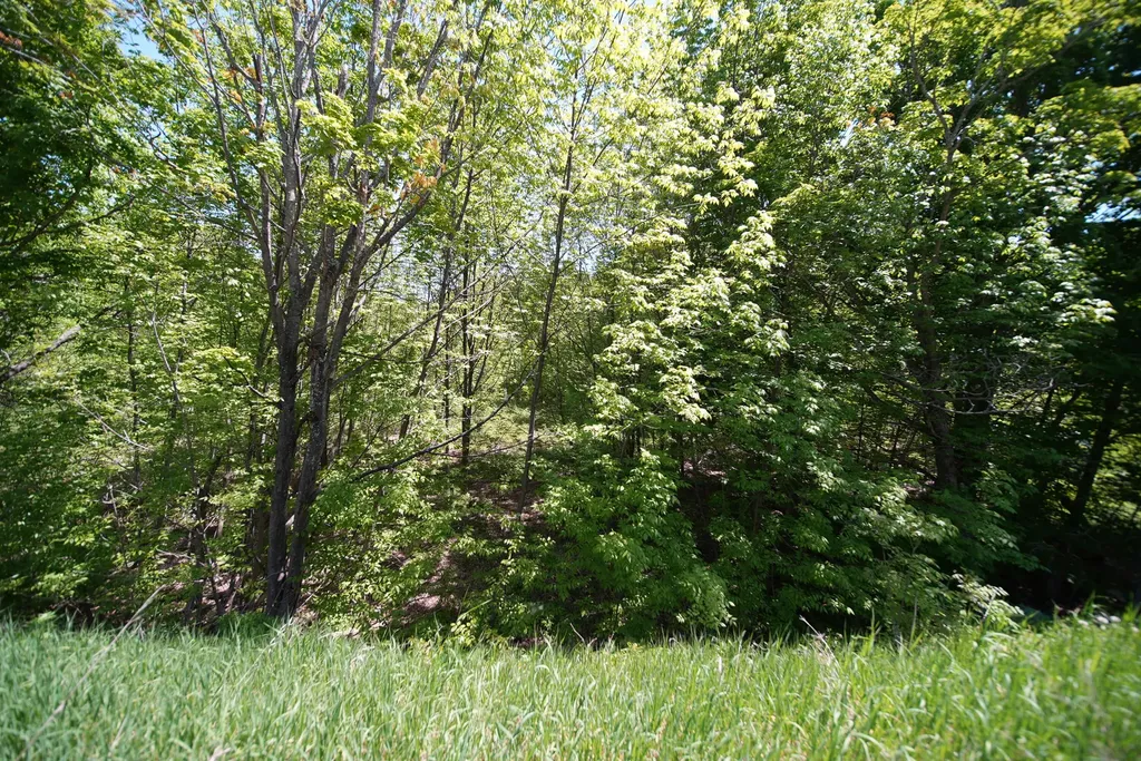 Lot 30 Us Route 1 Amity ME 04471