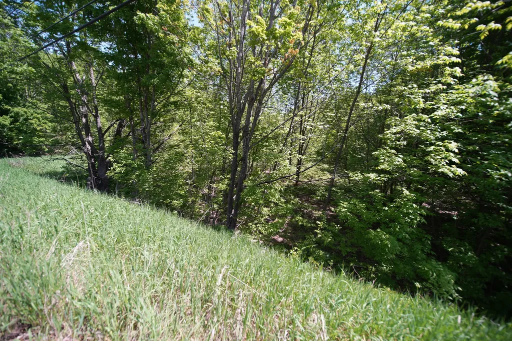 Lot 30 Us Route 1 Amity ME 04471