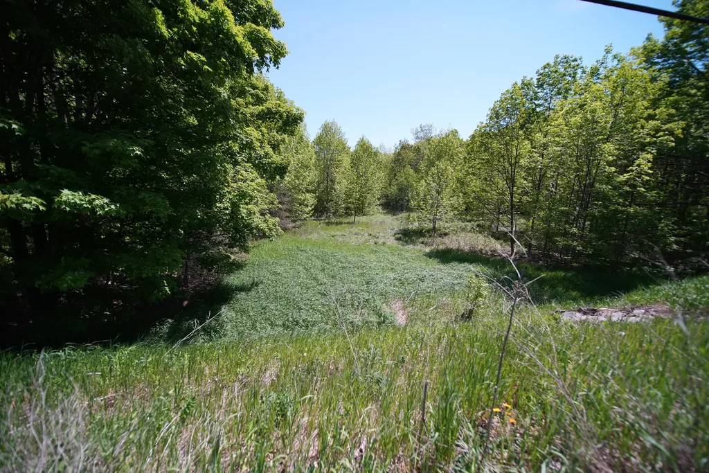 Lot 30 Us Route 1 Amity ME 04471