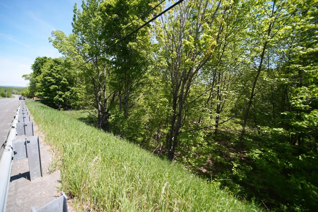 Lot 30 Us Route 1 Amity ME 04471