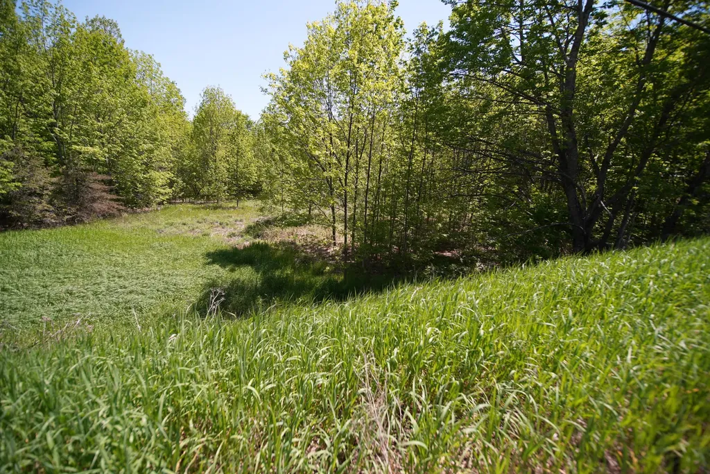 Lot 30 Us Route 1 Amity ME 04471