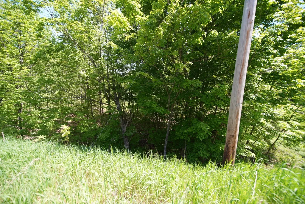 Lot 30 Us Route 1 Amity ME 04471