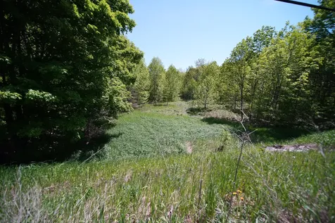 Lot 30 Us Route 1 Amity ME 04471