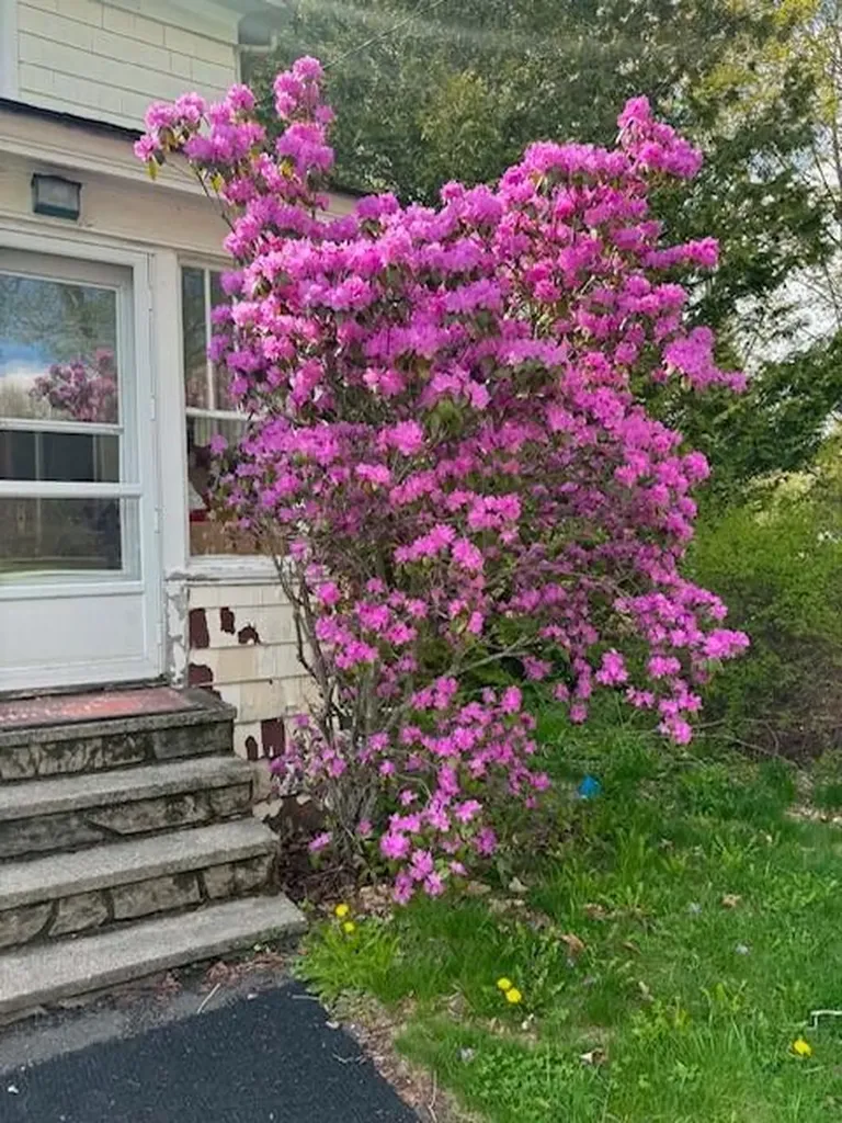 9 Winchester Street Fairfield ME 04937