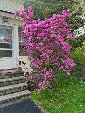 9 Winchester Street Fairfield ME 04937