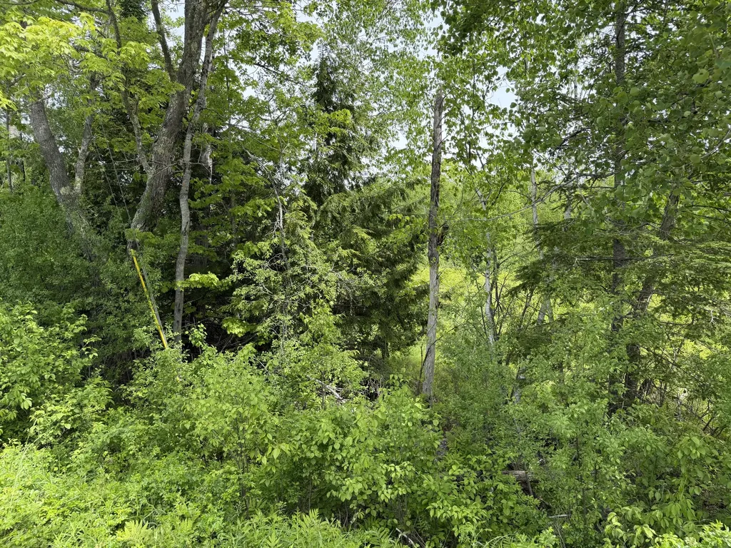 Lot 2 Cross Road Alna ME 04535