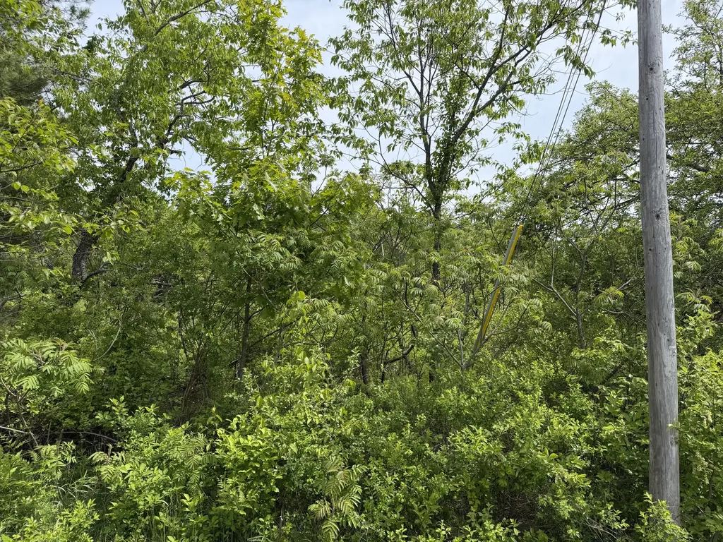 Lot 2 Cross Road Alna ME 04535