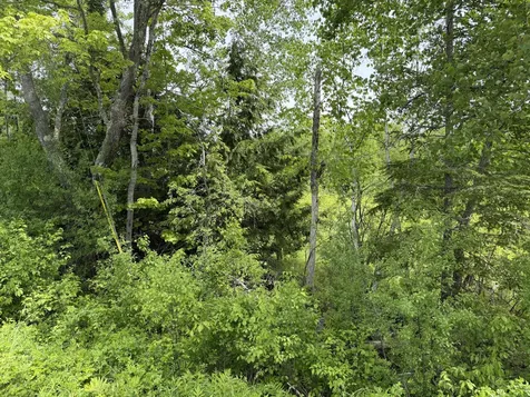 Lot 2 Cross Road Alna ME 04535