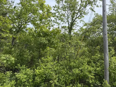 Lot 3 Cross Road Alna ME 04535
