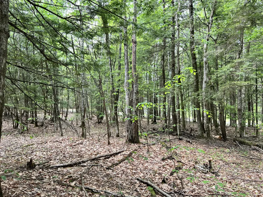 139A Pratt Road Bowdoinham ME 04008