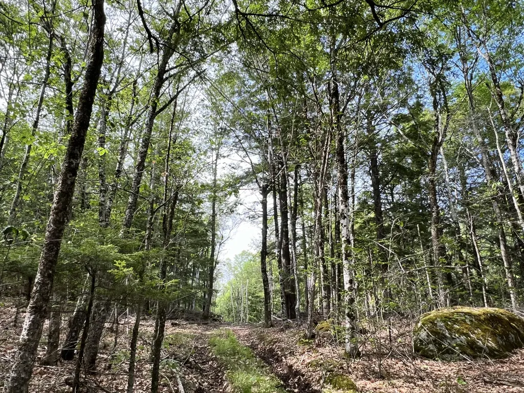 139A Pratt Road Bowdoinham ME 04008