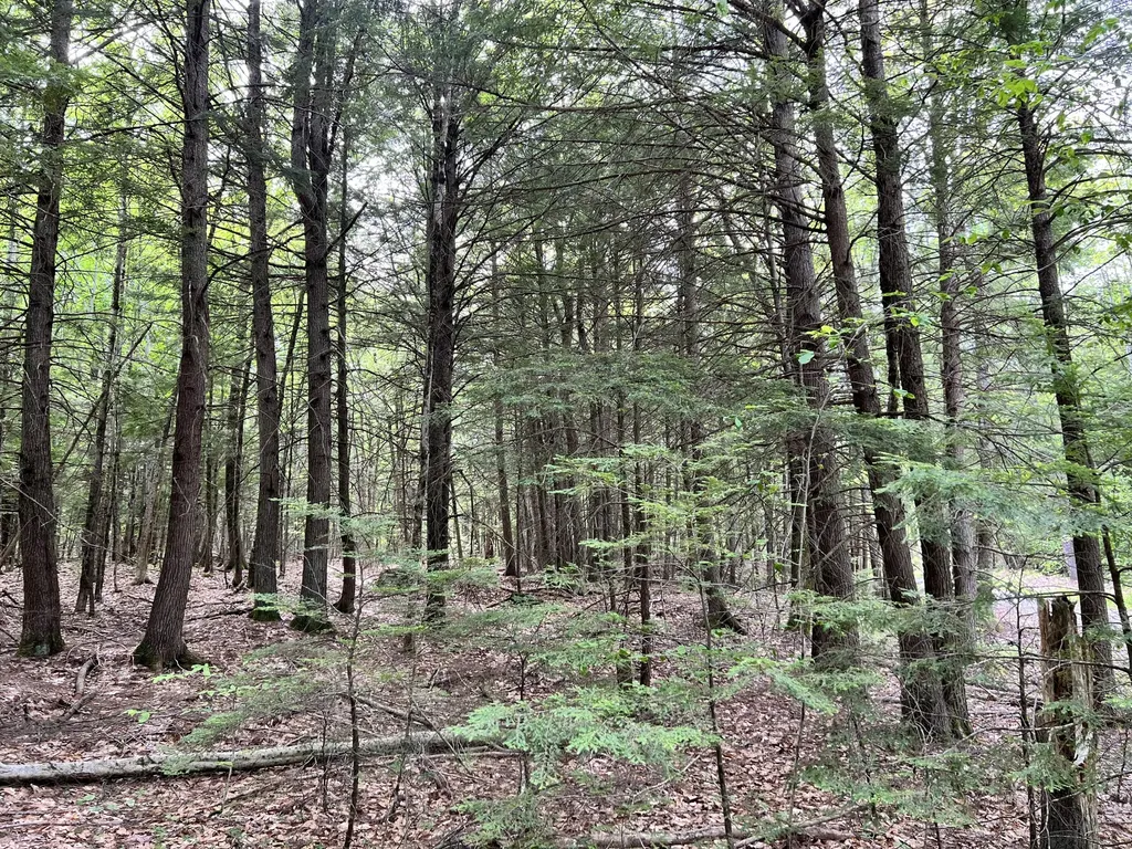 139A Pratt Road Bowdoinham ME 04008