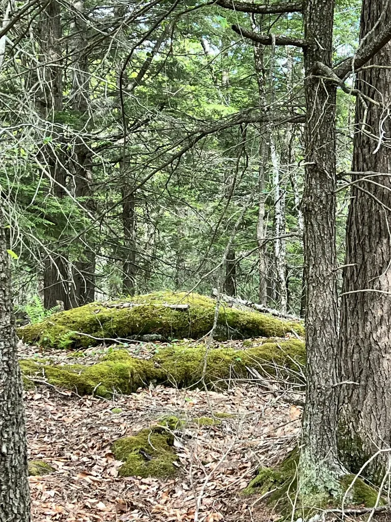 139A Pratt Road Bowdoinham ME 04008