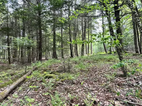 139A Pratt Road Bowdoinham ME 04008
