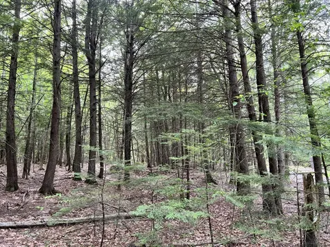 139A Pratt Road Bowdoinham ME 04008