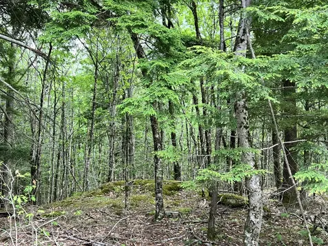 139A Pratt Road Bowdoinham ME 04008