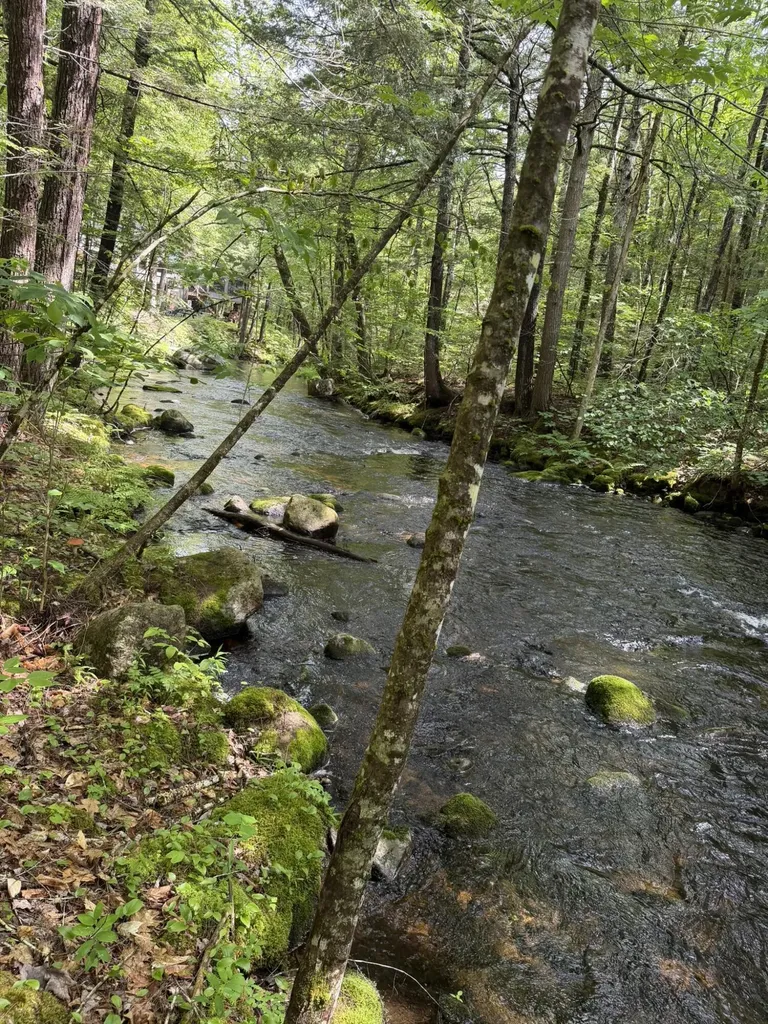 Lot 44 Rolfe Road Harrison ME 04040