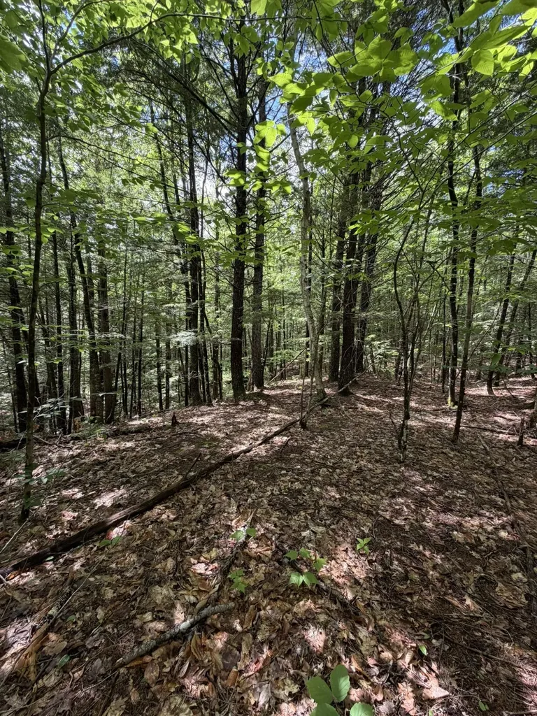 Lot 44 Rolfe Road Harrison ME 04040