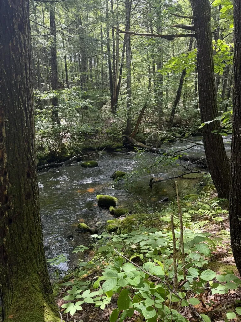 Lot 44 Rolfe Road Harrison ME 04040