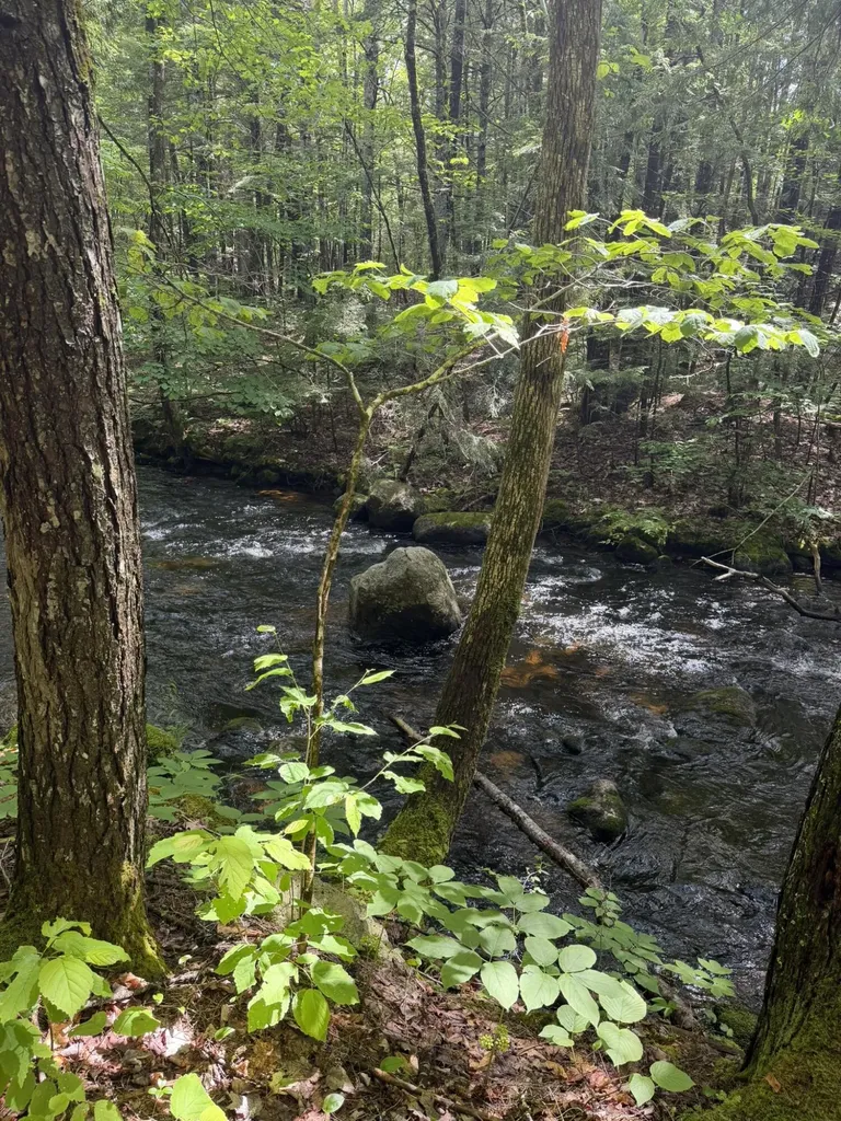 Lot 44 Rolfe Road Harrison ME 04040