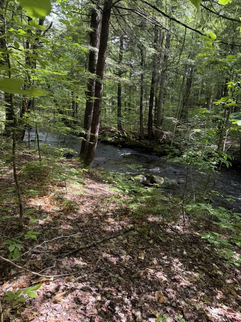 Lot 44 Rolfe Road Harrison ME 04040