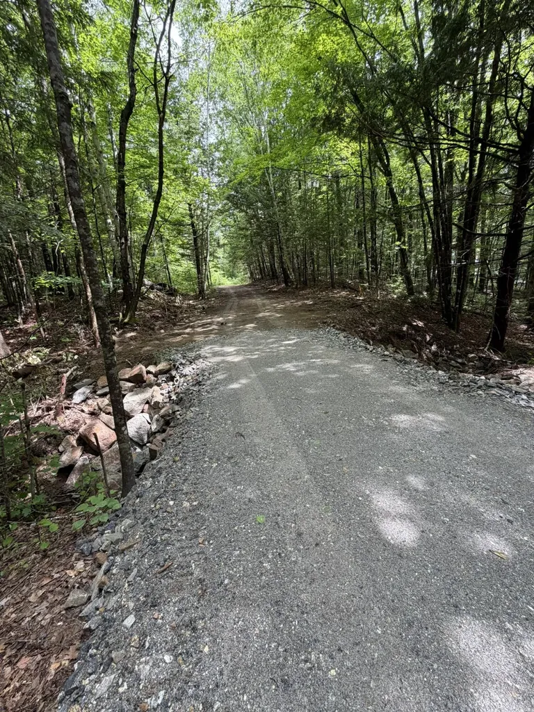 Lot 44 Rolfe Road Harrison ME 04040