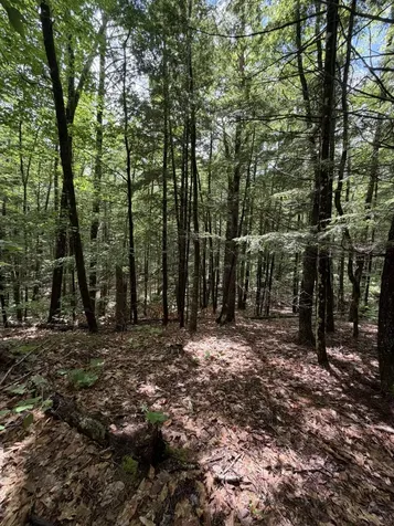 Lot 44 Rolfe Road Harrison ME 04040
