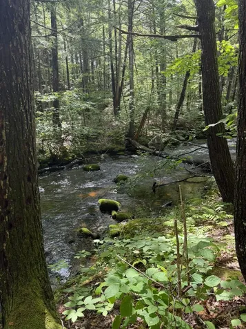 Lot 44 Rolfe Road Harrison ME 04040