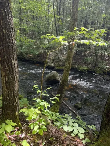 Lot 44 Rolfe Road Harrison ME 04040