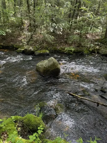 Lot 44 Rolfe Road Harrison ME 04040
