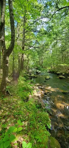Lot 44 Rolfe Road Harrison ME 04040