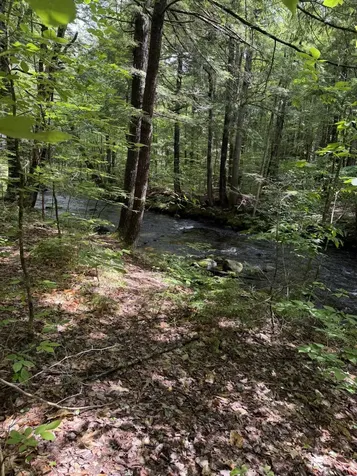 Lot 44 Rolfe Road Harrison ME 04040