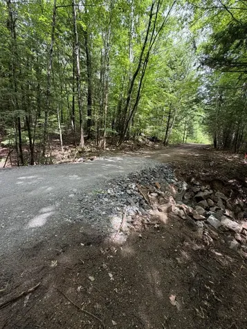 Lot 44 Rolfe Road Harrison ME 04040