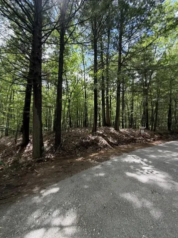 Lot 44 Rolfe Road Harrison ME 04040