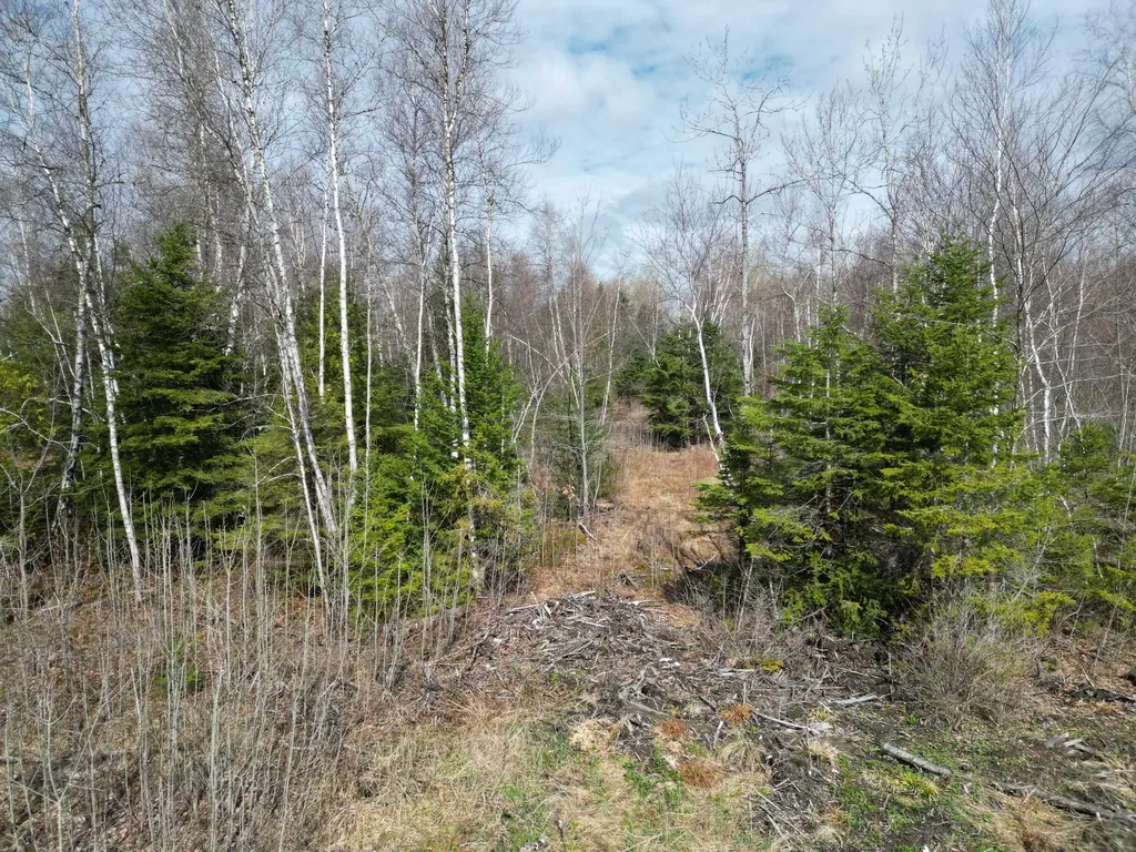 Lot 46i-1 Merriman Road Island Falls ME 04747