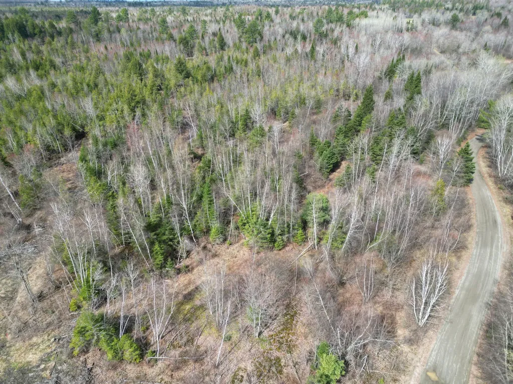 Lot 46i-1 Merriman Road Island Falls ME 04747