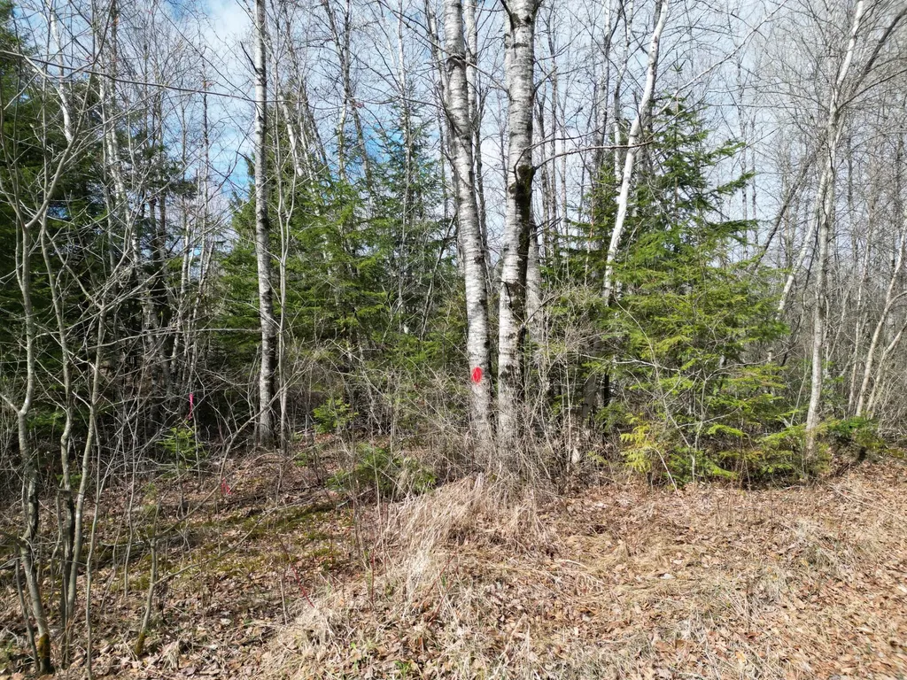 Lot 46i-1 Merriman Road Island Falls ME 04747