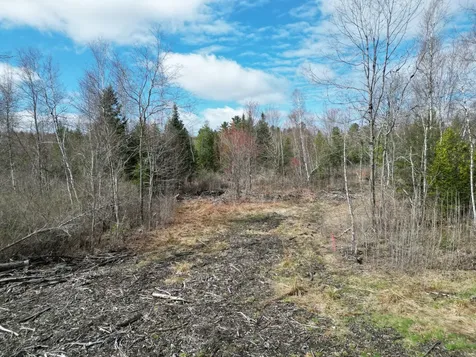 Lot 46i-1 Merriman Road Island Falls ME 04747