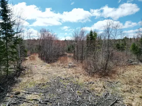 Lot 46i-1 Merriman Road Island Falls ME 04747