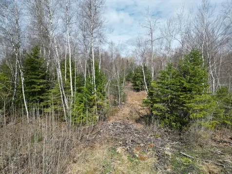 Lot 46i-1 Merriman Road Island Falls ME 04747
