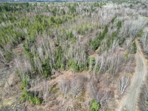 Lot 46i-1 Merriman Road Island Falls ME 04747