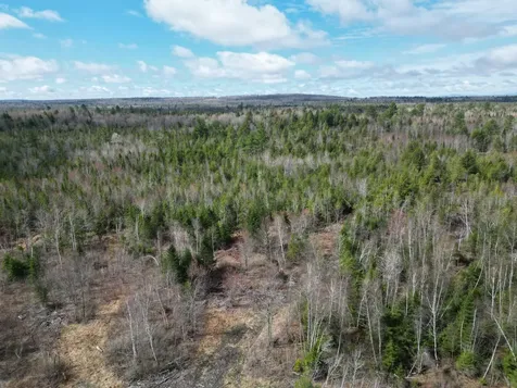 Lot 46i-1 Merriman Road Island Falls ME 04747