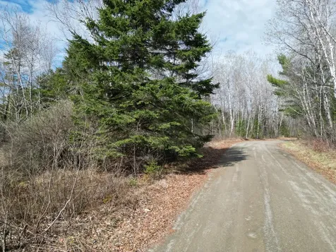 Lot 46i-1 Merriman Road Island Falls ME 04747