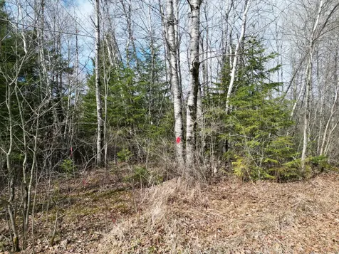 Lot 46i-1 Merriman Road Island Falls ME 04747