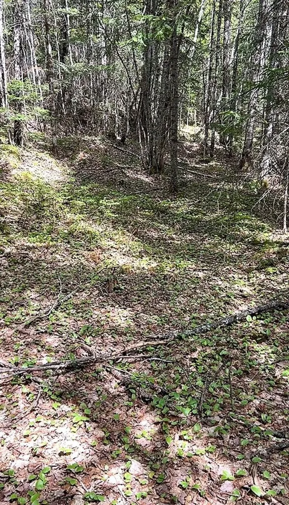 Lot 3c Scott Road Eustis ME 04936