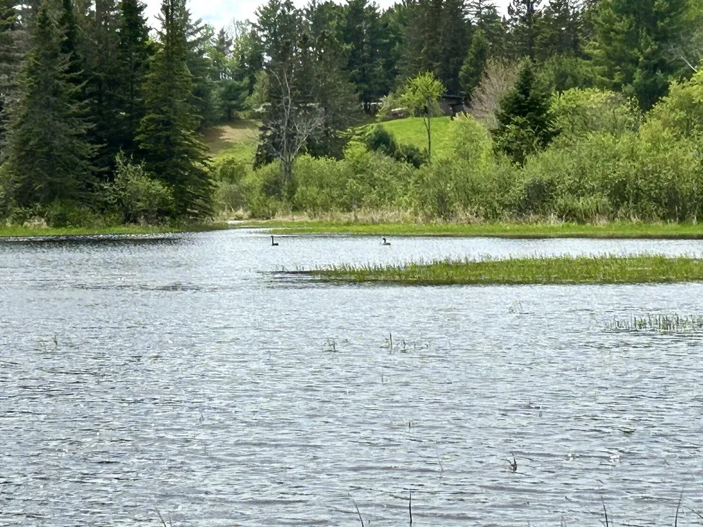 Lot 3c Scott Road Eustis ME 04936