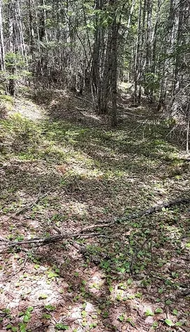 Lot 3c Scott Road Eustis ME 04936