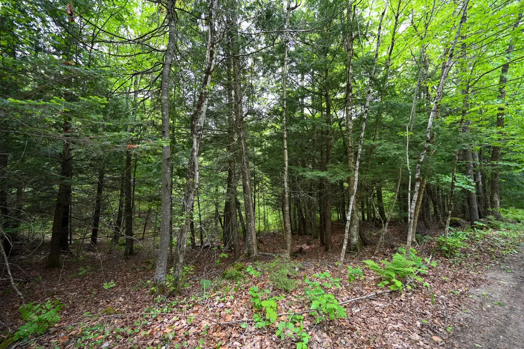 Lot 16d Old Towle Road Dixfield ME 04224